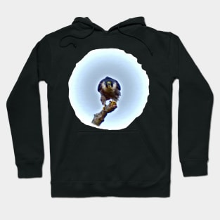 WILD EYES Hoodie